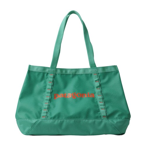 Patagonia black hole - patagonia, 25l
